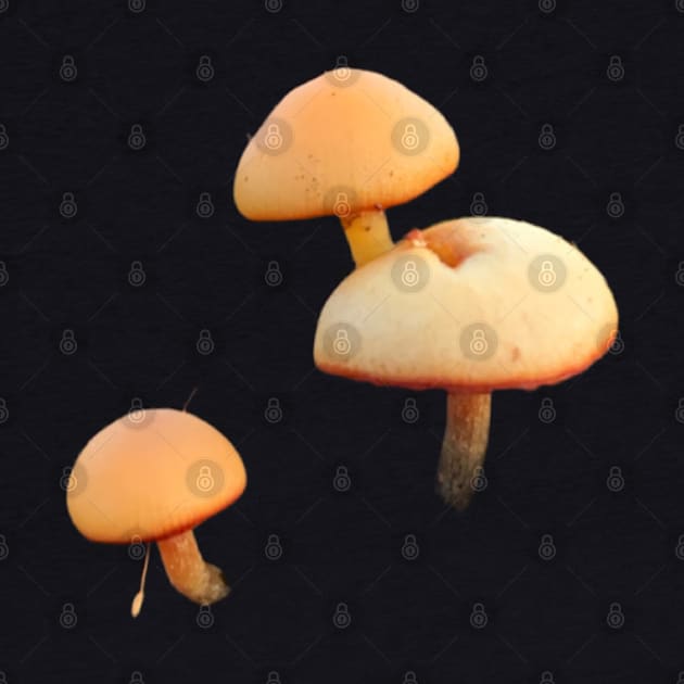 Little Shrooms by Green Bird Farms